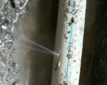 嘉鱼卫生间测漏水多少钱